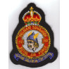 Badge 350 (F) Sqn "Ambiorix" 1W Beauvechain