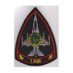 Badge 1 Sqn Combat ready (MLU)