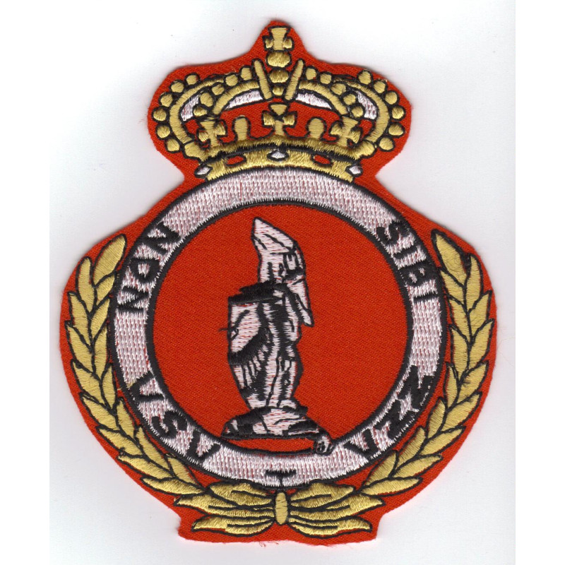 Badge VSV (vol sans visibilité)