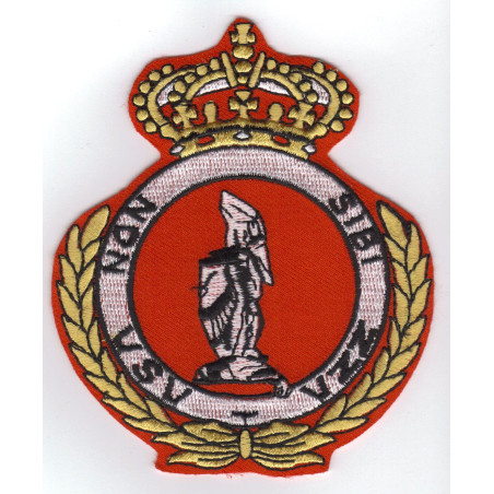 Badge VSV (vol sans visibilité)