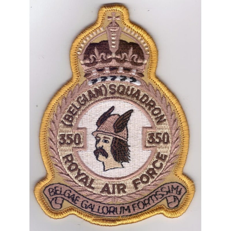 Badge 350 Sqn désert
