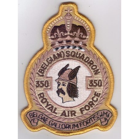 Badge 350 Sqn désert