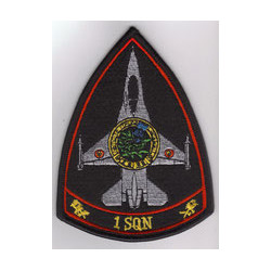 Badge 1 Sqn Combat ready (OCU)