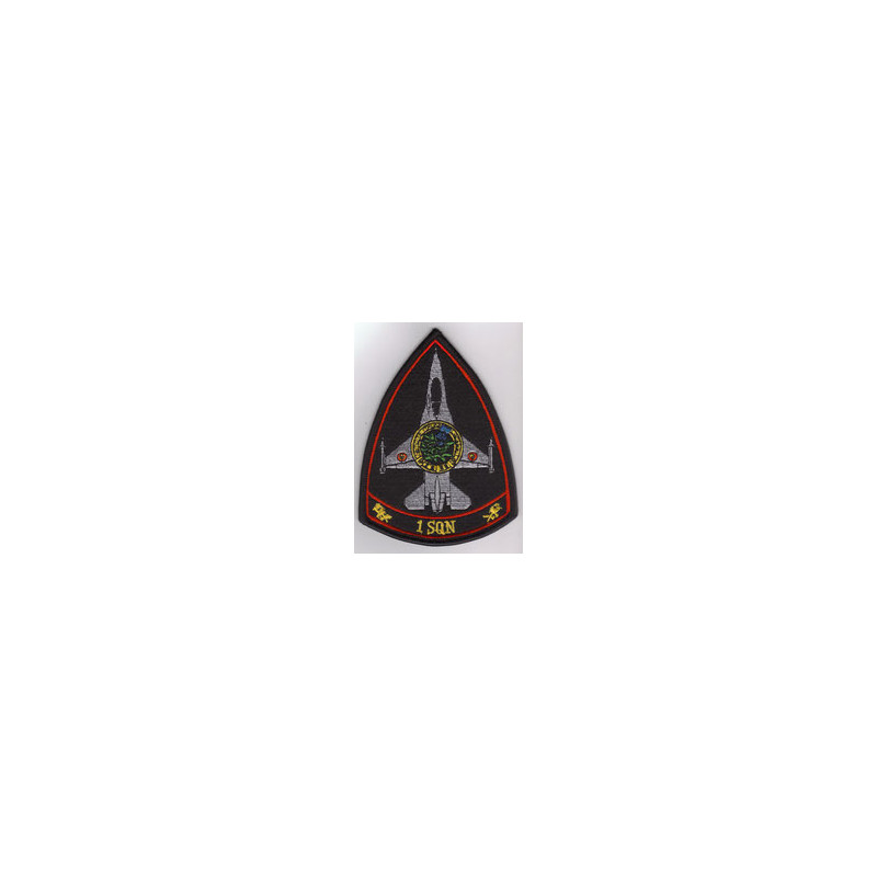 Badge 1 Sqn Combat ready (OCU)
