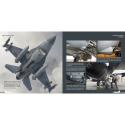 Lockheed-Martin F-16