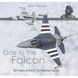 Ode to the Falcon