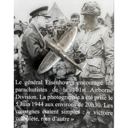 Pin's Spitfire (ARGENT)