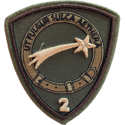 Nouveau Badge 2 SQN MQ-9B (Camo)