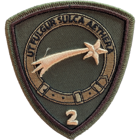 Nouveau Badge 2 SQN MQ-9B (Camo)