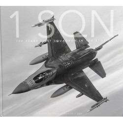 1 SQN 100 Years First Squadron in 100 stories