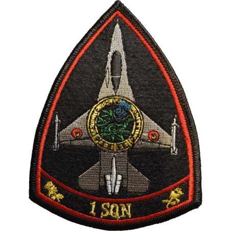 Badge 1 Sqn (OCU)