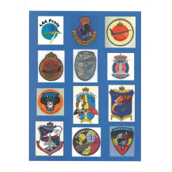 Belgian Air Force Wings - The Graduates since 1946