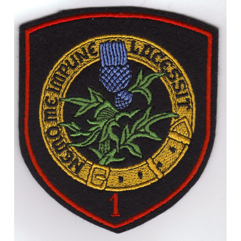 Badge 1 Sqn "Chardon Ecossais"
