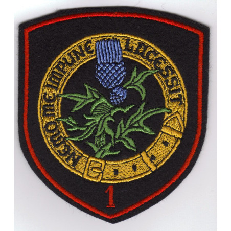Badge 1 Sqn "Chardon Ecossais"