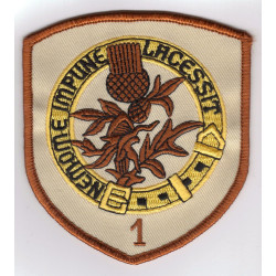 Badge 1 Sqn sable