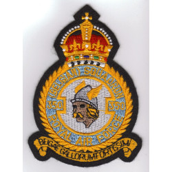 Badge 350 (F) Sqn  "Ambiorix" 2WingTac Blue