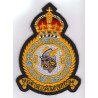 Badge 350 (F) Sqn  "Ambiorix" 2WingTac Blue