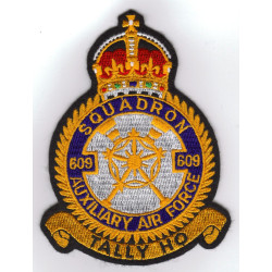 Badge No 609 Sqn ' Tally Ho" RAF