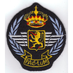 Badge Force Aérienne - Luchtmacht