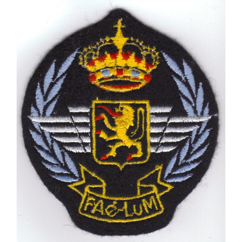 Badge Force Aérienne - Luchtmacht