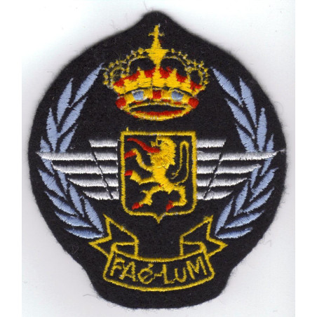 Badge Force Aérienne - Luchtmacht